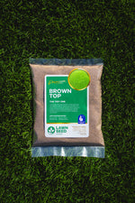 BrownTop Lawn Seed