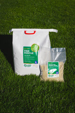 Fine Fescue Bundle New Lawn up 100m2