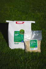 Dark Perennial Ryegrass Bundle New Lawn up to 100m2