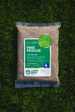 Fine Fescue Grass