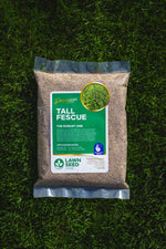 Tall Fescue Grass