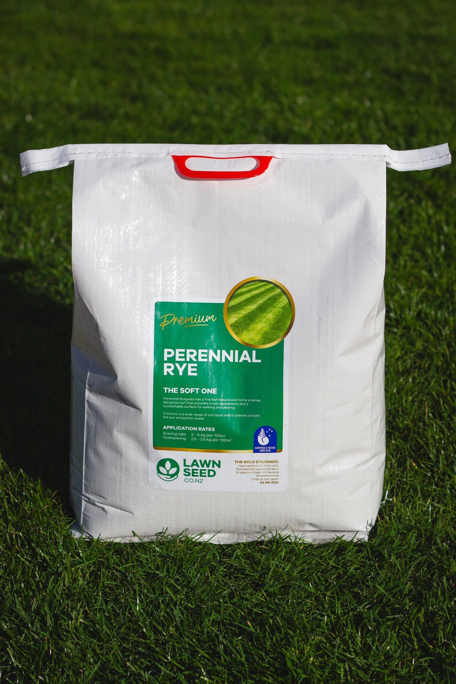 Perennial Ryegrass