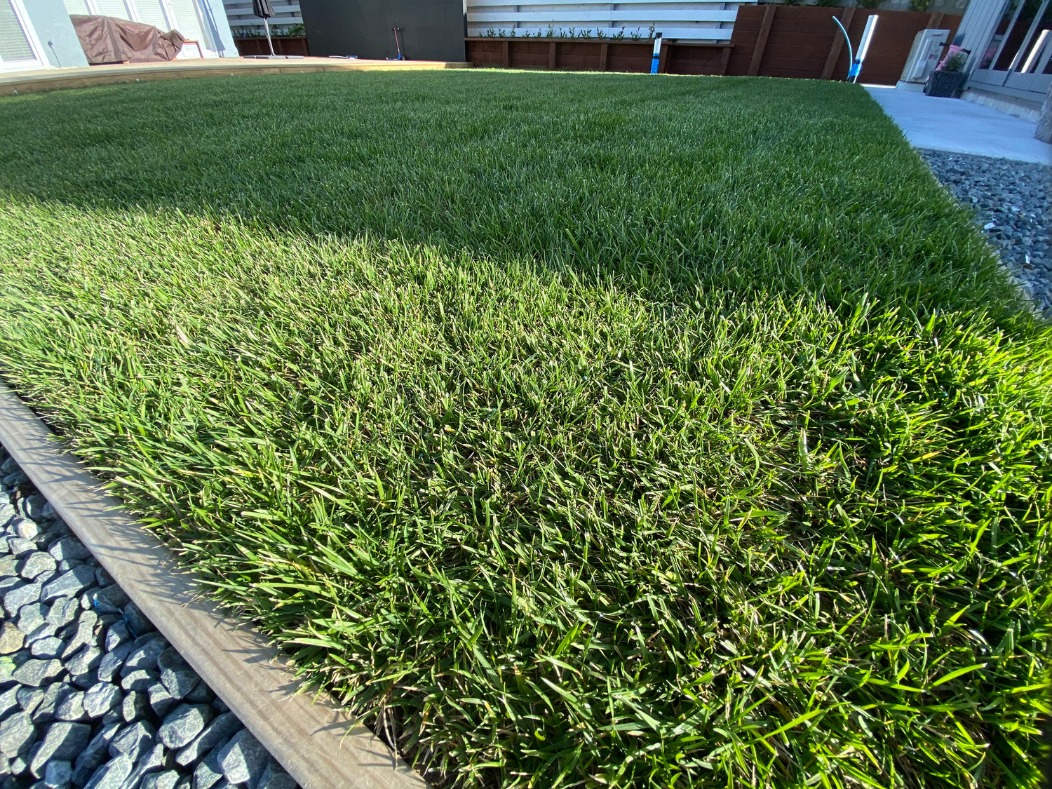 Tall Fescue Bundle New Lawn up to 100m2
