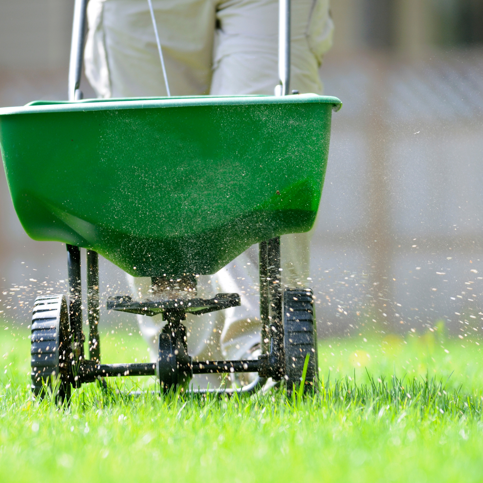 Essential Lawn Care Tips