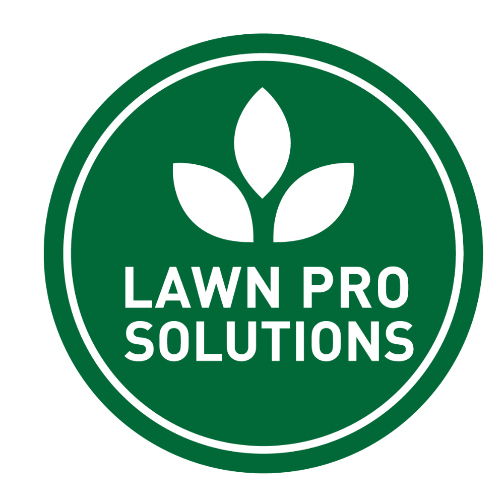 Lawn Seeds & Care Products | NZ's Top Lawn Experts | Fast Delivery ...