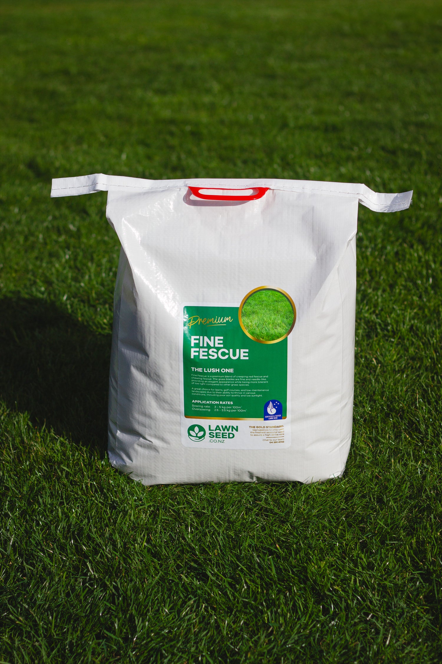 Fine Fescue Grass