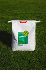 Speedyl Perennial Ryegrass - Quick-Growing, Year-Round Coverage for High ...