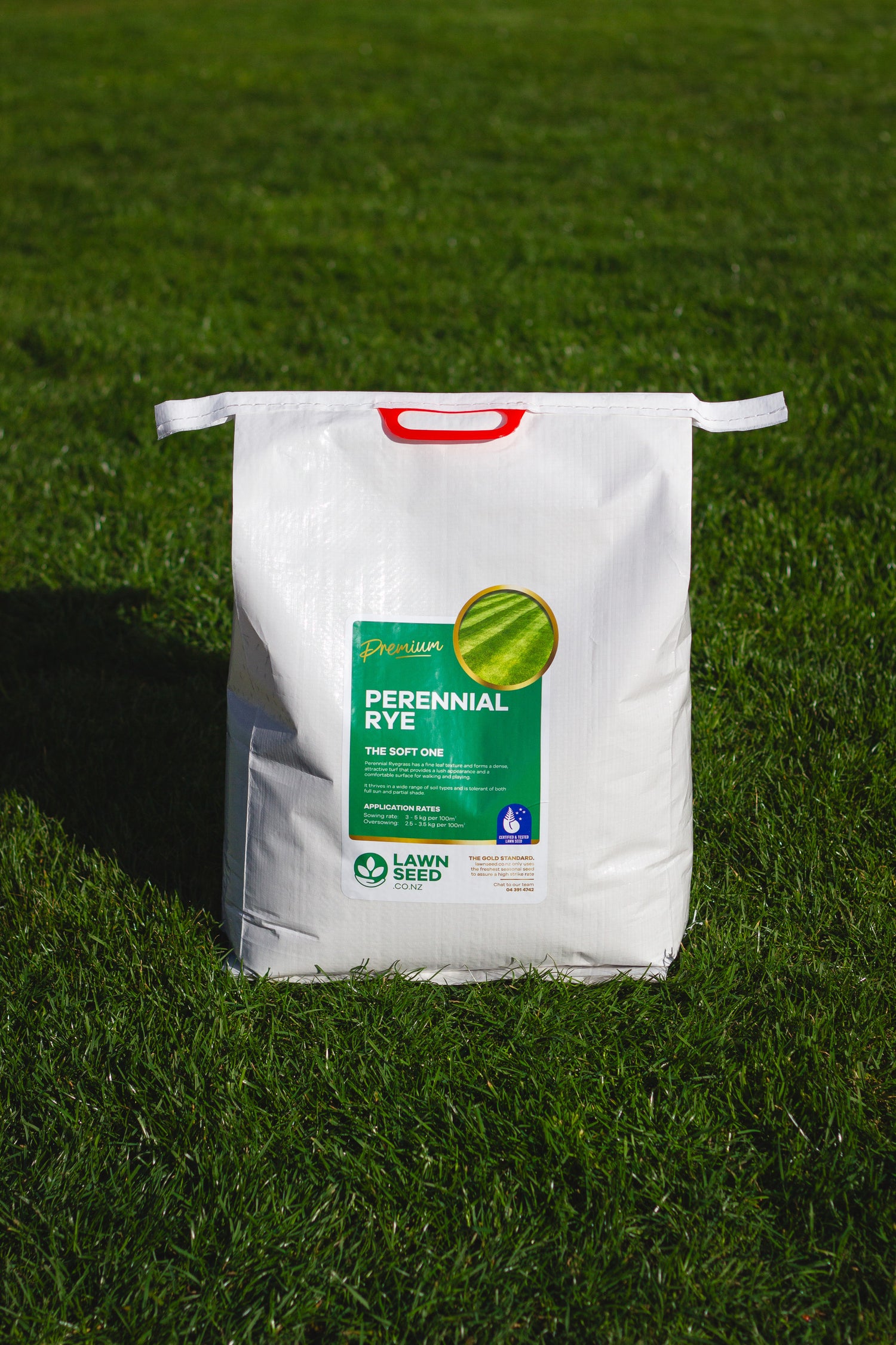 Perennial Ryegrass