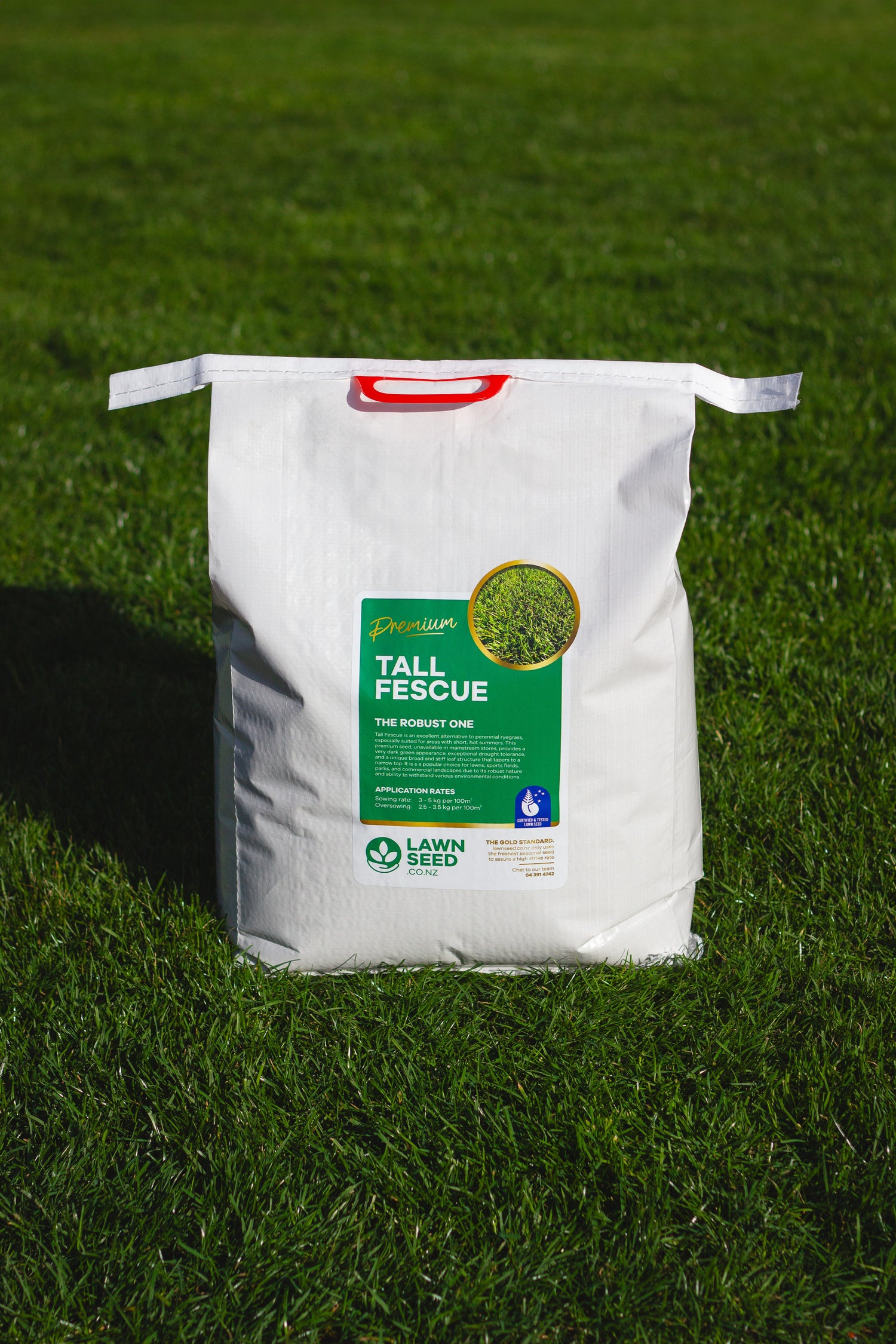 Tall Fescue Grass