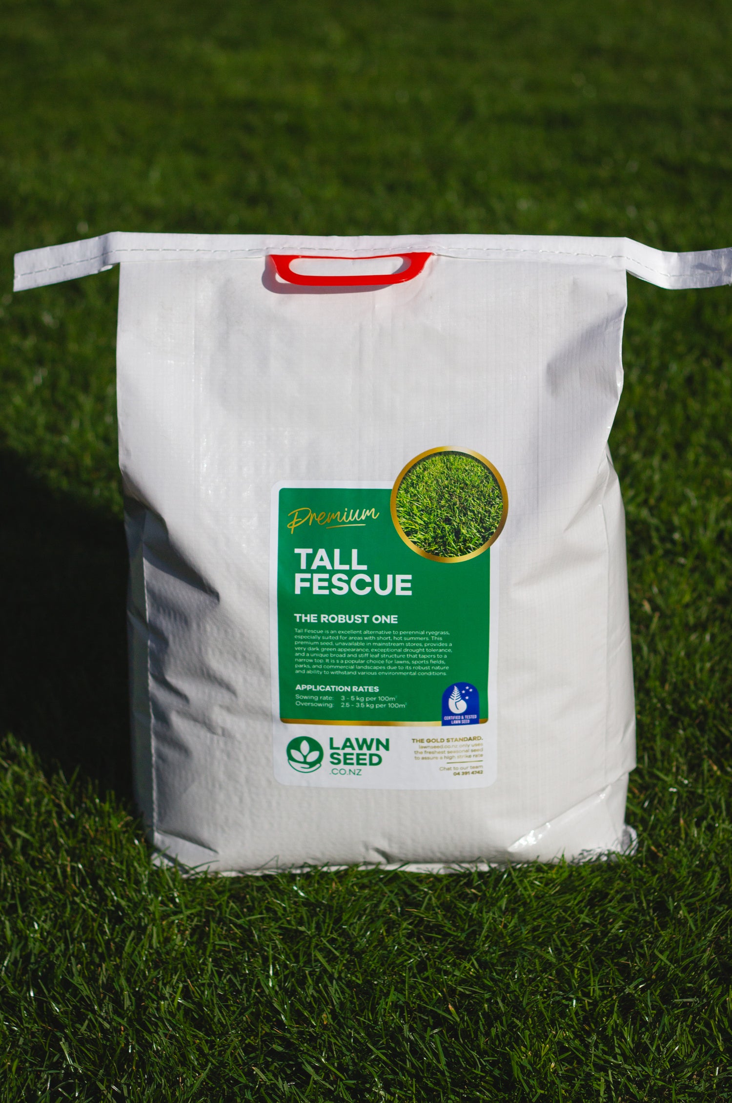 Tall Fescue Grass