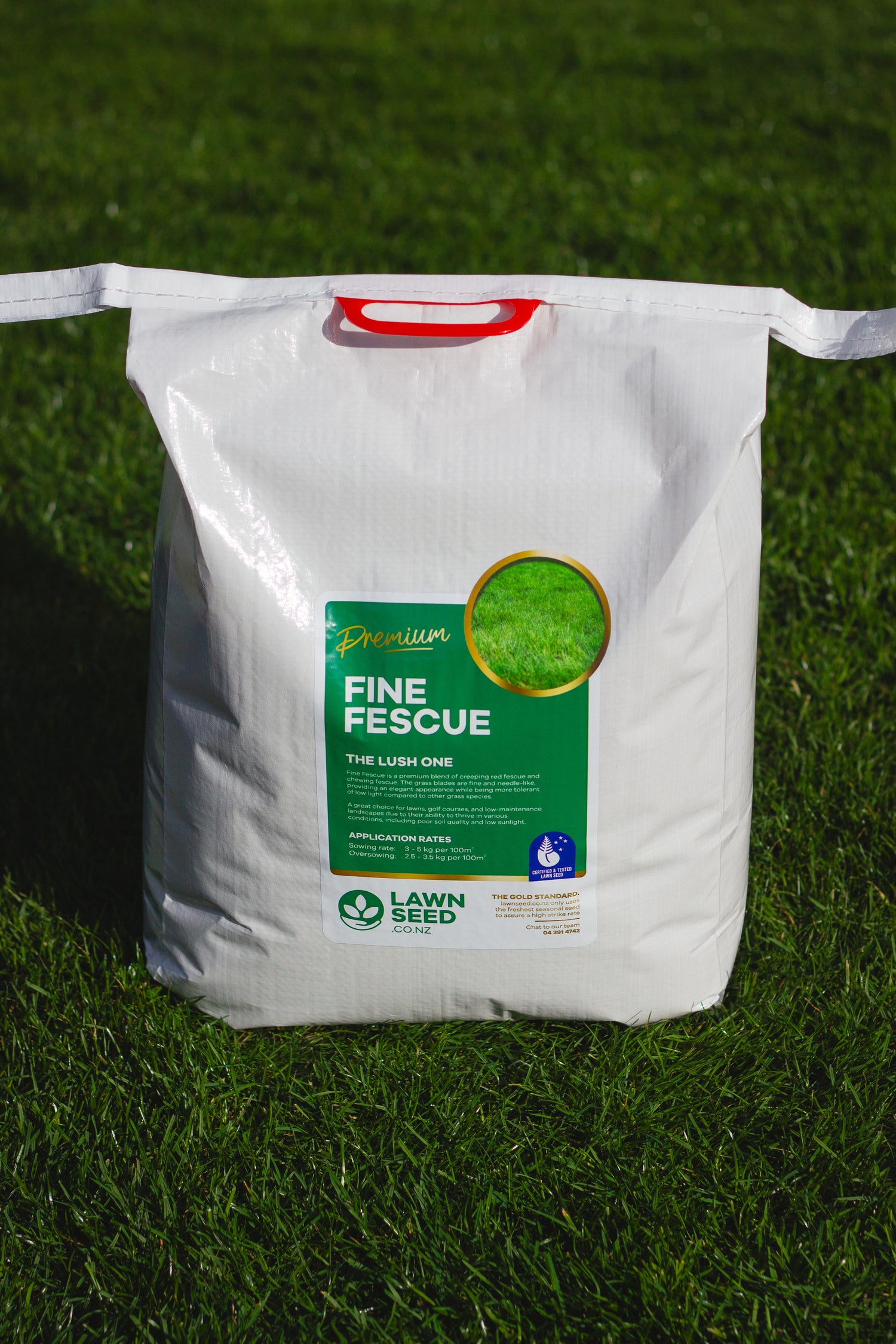 Fine Fescue Grass