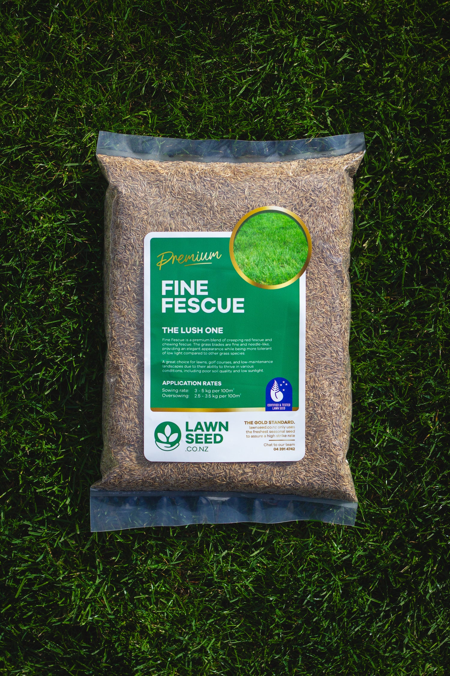 Fine Fescue Grass